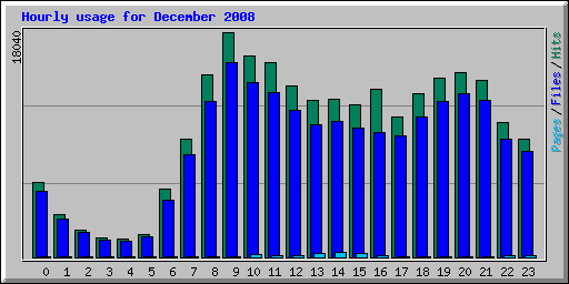 Hourly usage for December 2008
